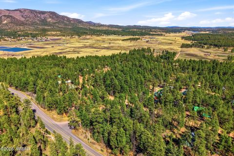 Tiny photo for 39 2066, Alpine, AZ 85920 (MLS # 260208)