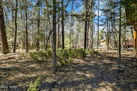 Tiny photo for 39 2066, Alpine, AZ 85920 (MLS # 260208)