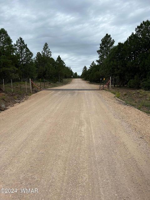 Tiny photo for 1467 CR 3140, Vernon, AZ 85940 (MLS # 252814)