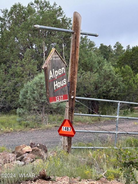 Tiny photo for 1467 CR 3140, Vernon, AZ 85940 (MLS # 252814)