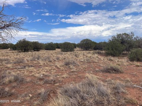 Photo of 4353 Colt Road, Snowflake, AZ 85937 (MLS # 255442)