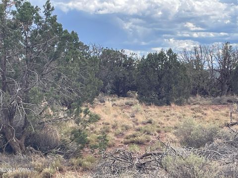 Tiny photo for 4353 Colt Road, Snowflake, AZ 85937 (MLS # 255442)