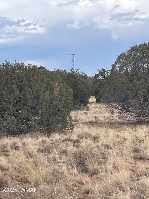 Tiny photo for 4353 Colt Road, Snowflake, AZ 85937 (MLS # 255442)