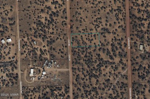 Tiny photo for 4353 Colt Road, Snowflake, AZ 85937 (MLS # 255442)