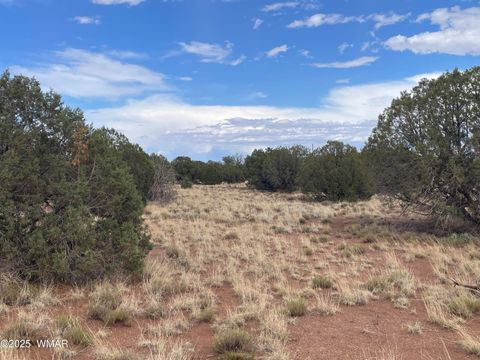Tiny photo for 4353 Colt Road, Snowflake, AZ 85937 (MLS # 255442)
