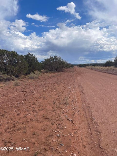 Tiny photo for 4353 Colt Road, Snowflake, AZ 85937 (MLS # 255442)