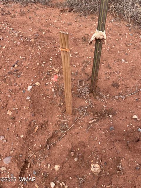 Tiny photo for 4353 Colt Road, Snowflake, AZ 85937 (MLS # 255442)