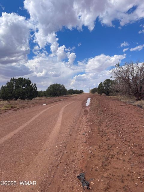 Tiny photo for 4353 Colt Road, Snowflake, AZ 85937 (MLS # 255442)