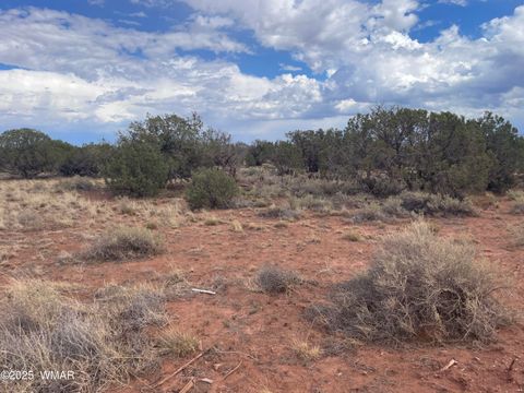 Tiny photo for 4353 Colt Road, Snowflake, AZ 85937 (MLS # 255442)