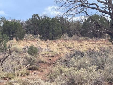 Tiny photo for 4353 Colt Road, Snowflake, AZ 85937 (MLS # 255442)