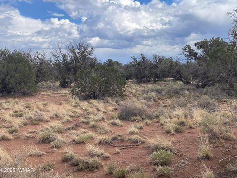 Tiny photo for 4353 Colt Road, Snowflake, AZ 85937 (MLS # 255442)