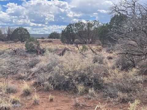 Tiny photo for 4353 Colt Road, Snowflake, AZ 85937 (MLS # 255442)