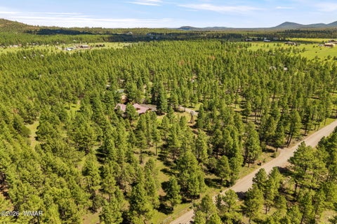 Tiny photo for 278 Gold Mine Drive, Lakeside, AZ 85929 (MLS # 263020)
