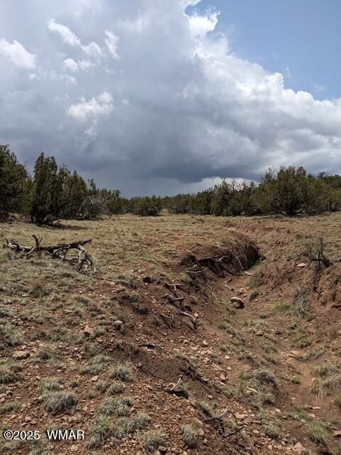 Tiny photo for tbd Vista Point 201-21-023, Heber, AZ 85928 (MLS # 258224)