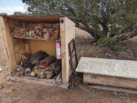 Tiny photo for tbd Vista Point 201-21-023, Heber, AZ 85928 (MLS # 258224)