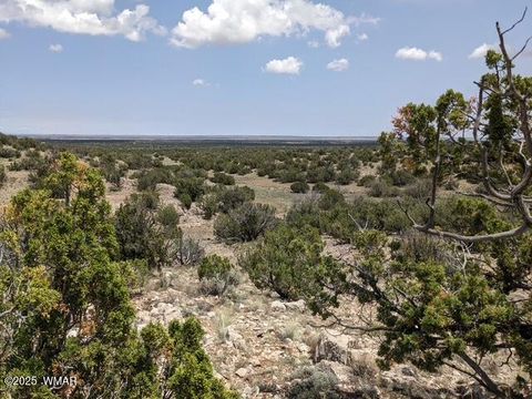 Tiny photo for tbd Vista Point 201-21-023, Heber, AZ 85928 (MLS # 258224)