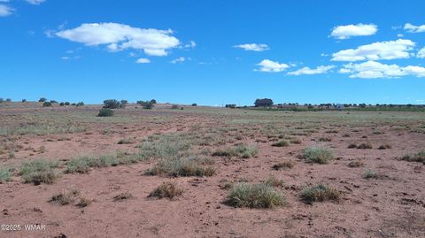 Tiny photo for TBD Concho Park Estates Unit 583, Concho, AZ 85924 (MLS # 258865)