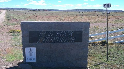 Photo of TBD Concho Park Estates Unit 583, Concho, AZ 85924 (MLS # 258865)