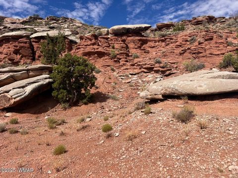 Photo of 2345 W Ridgeview Ranch Drive, Snowflake, AZ 85937 (MLS # 258923)