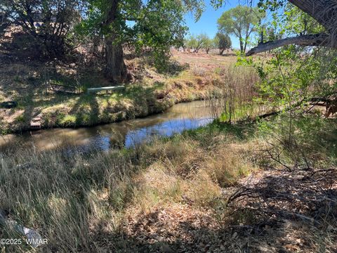 Tiny photo for 7641 Blackies Road, Taylor, AZ 85939 (MLS # 255295)