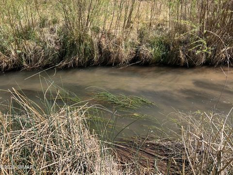 Tiny photo for 7641 Blackies Road, Taylor, AZ 85939 (MLS # 255295)