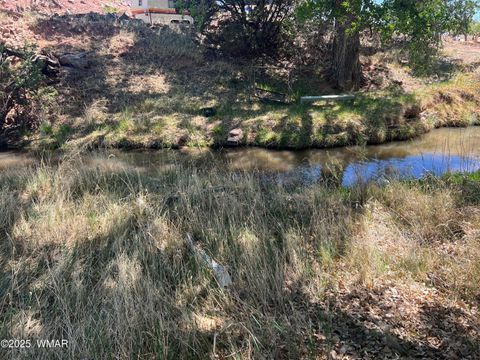 Tiny photo for 7641 Blackies Road, Taylor, AZ 85939 (MLS # 255295)