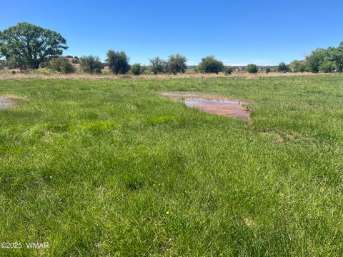 Tiny photo for 7641 Blackies Road, Taylor, AZ 85939 (MLS # 255295)