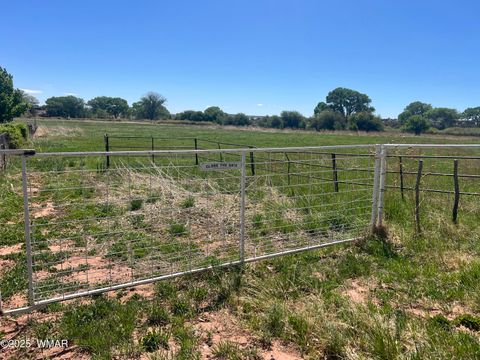 Tiny photo for 7641 Blackies Road, Taylor, AZ 85939 (MLS # 255295)