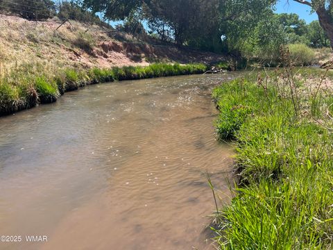 Tiny photo for 7641 Blackies Road, Taylor, AZ 85939 (MLS # 255295)