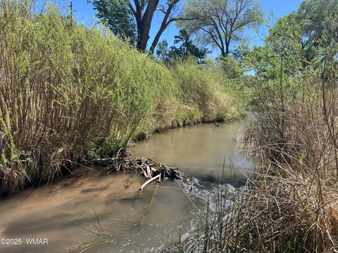 Tiny photo for 7641 Blackies Road, Taylor, AZ 85939 (MLS # 255295)