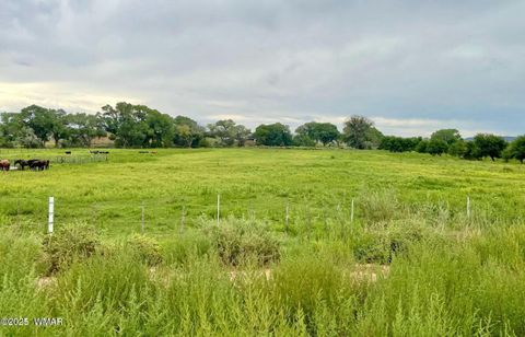 Tiny photo for 7641 Blackies Road, Taylor, AZ 85939 (MLS # 255295)