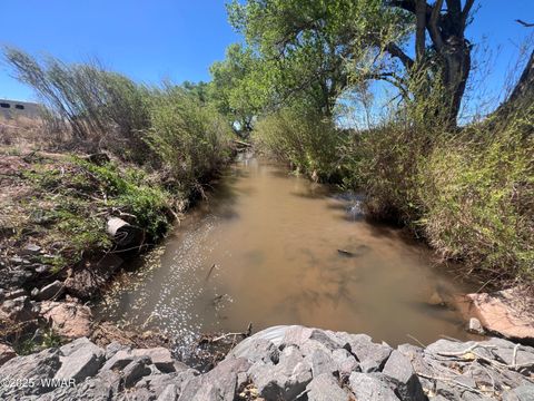 Tiny photo for 7641 Blackies Road, Taylor, AZ 85939 (MLS # 255295)