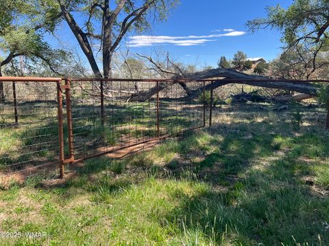 Tiny photo for 7641 Blackies Road, Taylor, AZ 85939 (MLS # 255295)