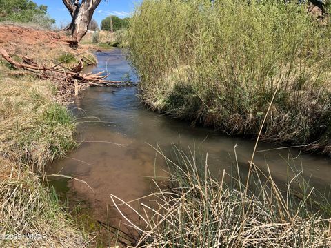 Tiny photo for 7641 Blackies Road, Taylor, AZ 85939 (MLS # 255295)