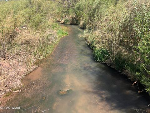 Tiny photo for 7641 Blackies Road, Taylor, AZ 85939 (MLS # 255295)