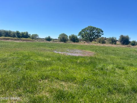 Tiny photo for 7641 Blackies Road, Taylor, AZ 85939 (MLS # 255295)