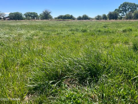 Tiny photo for 7641 Blackies Road, Taylor, AZ 85939 (MLS # 255295)