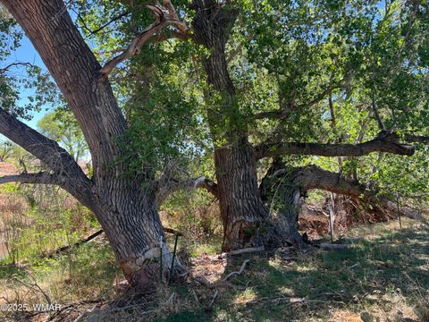 Tiny photo for 7641 Blackies Road, Taylor, AZ 85939 (MLS # 255295)