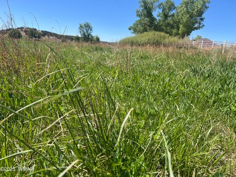 Tiny photo for 7641 Blackies Road, Taylor, AZ 85939 (MLS # 255295)