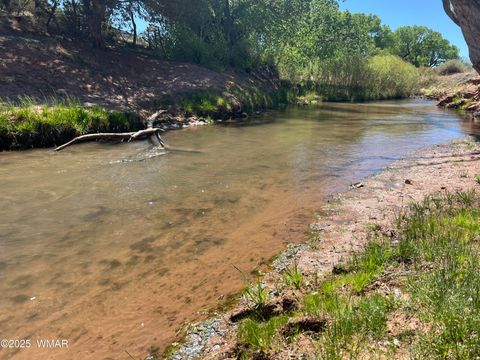 Tiny photo for 7641 Blackies Road, Taylor, AZ 85939 (MLS # 255295)