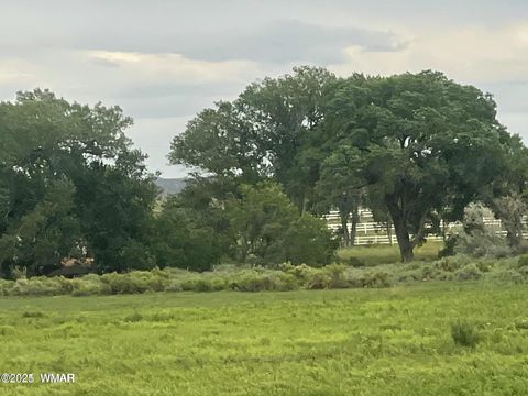 Tiny photo for 7641 Blackies Road, Taylor, AZ 85939 (MLS # 255295)