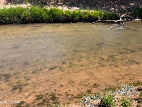 Tiny photo for 7641 Blackies Road, Taylor, AZ 85939 (MLS # 255295)