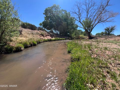 Tiny photo for 7641 Blackies Road, Taylor, AZ 85939 (MLS # 255295)