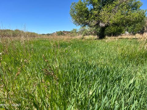 Tiny photo for 7641 Blackies Road, Taylor, AZ 85939 (MLS # 255295)