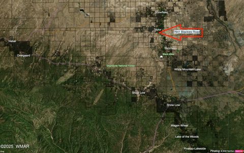 Tiny photo for 7641 Blackies Road, Taylor, AZ 85939 (MLS # 255295)
