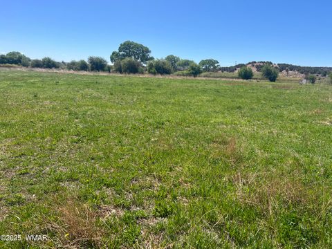 Tiny photo for 7641 Blackies Road, Taylor, AZ 85939 (MLS # 255295)