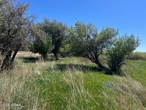 Tiny photo for 7641 Blackies Road, Taylor, AZ 85939 (MLS # 255295)