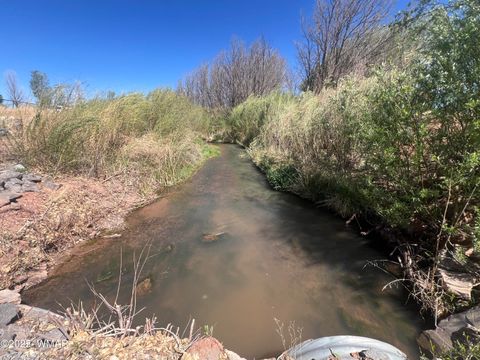 Tiny photo for 7641 Blackies Road, Taylor, AZ 85939 (MLS # 255295)