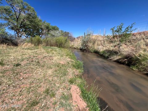 Tiny photo for 7641 Blackies Road, Taylor, AZ 85939 (MLS # 255295)