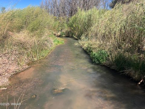 Tiny photo for 7641 Blackies Road, Taylor, AZ 85939 (MLS # 255295)